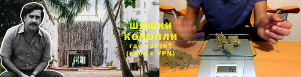 дмт Алзамай