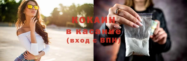 индика Алексин
