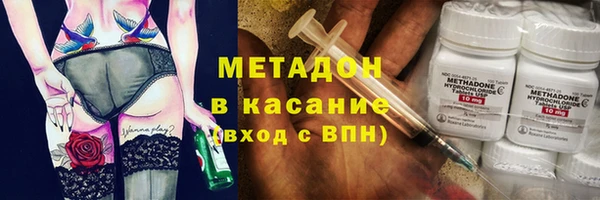 индика Алексин
