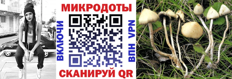 omg маркетплейс  darknet клад  Мещовск  Галлюциногенные грибы ЛСД  наркота 